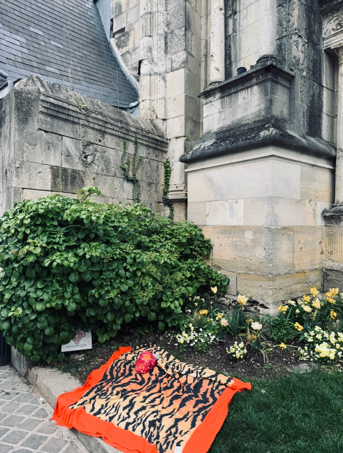 Tiger tablecloth retangle 250 x 140 cm