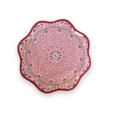 Set of 2 Lily Paisley Placemats