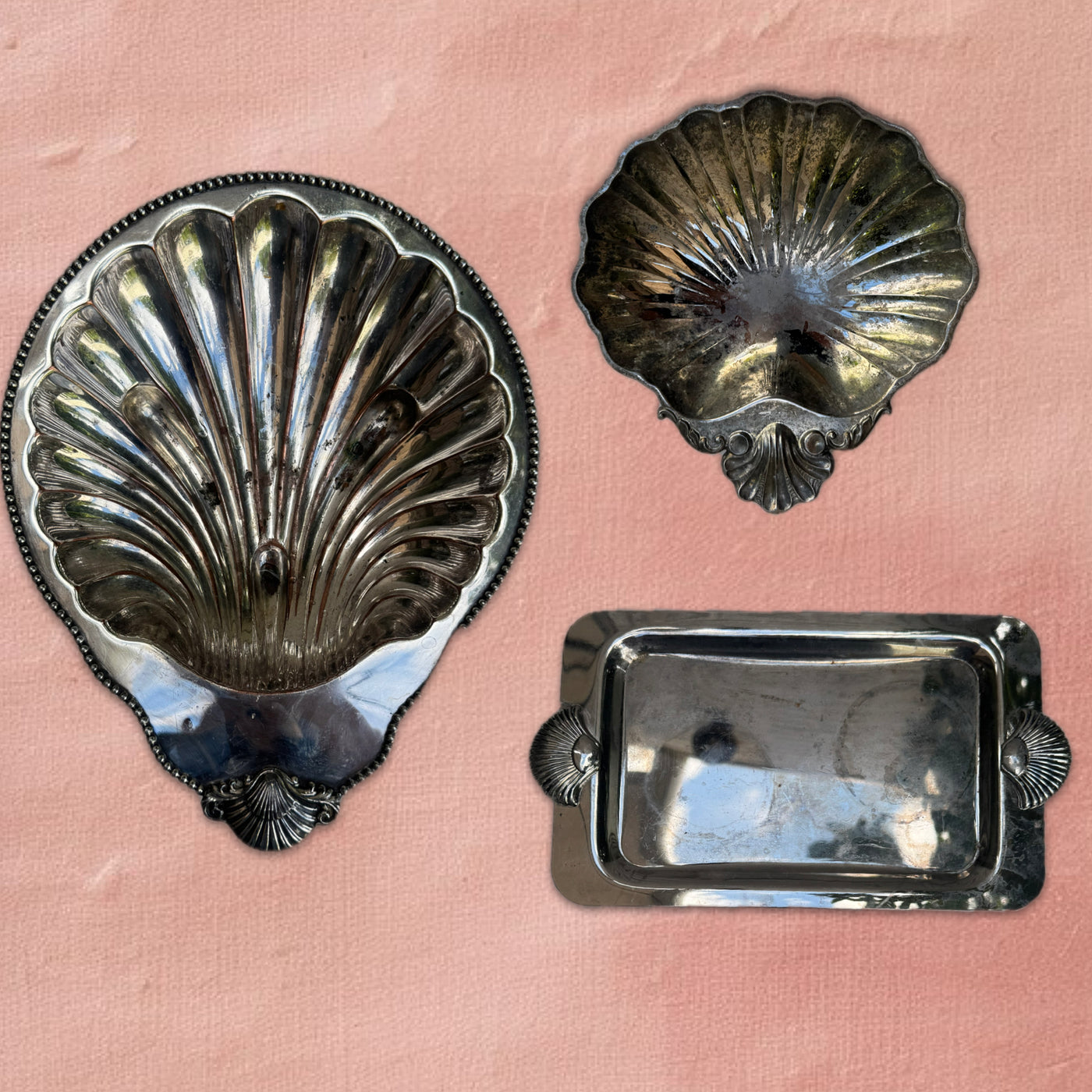 The Shell collection